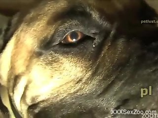 Innocent dog with very massive dick pounds a dirty zoofil