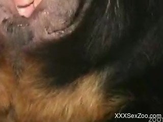Lucky owner sticks his hard wiener in a tight shaved hole of a...
