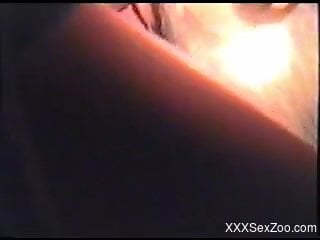 Closeup animal porn scenes with a man sticking the dick hard
