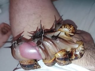 Dude's entire dick gets covered in sexy snails