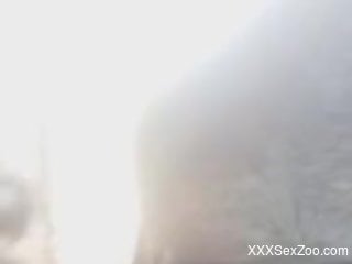 Guy banging a sexy animal from behind in an outdoor scene