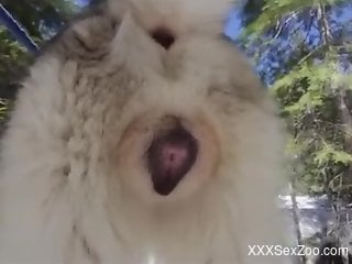 Guy exploring this animal pussy with his hard cock