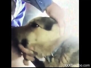 Guy fucking the animal's mouth with his big boner