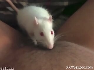 Mouse stimulates woman's clit when she masturbates on cam