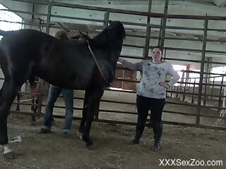 Nude woman is about to feel a big horse cock fully down her cunt